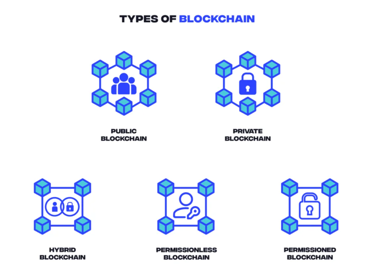 Solana vs XRP: Key Differences Explained in Plain