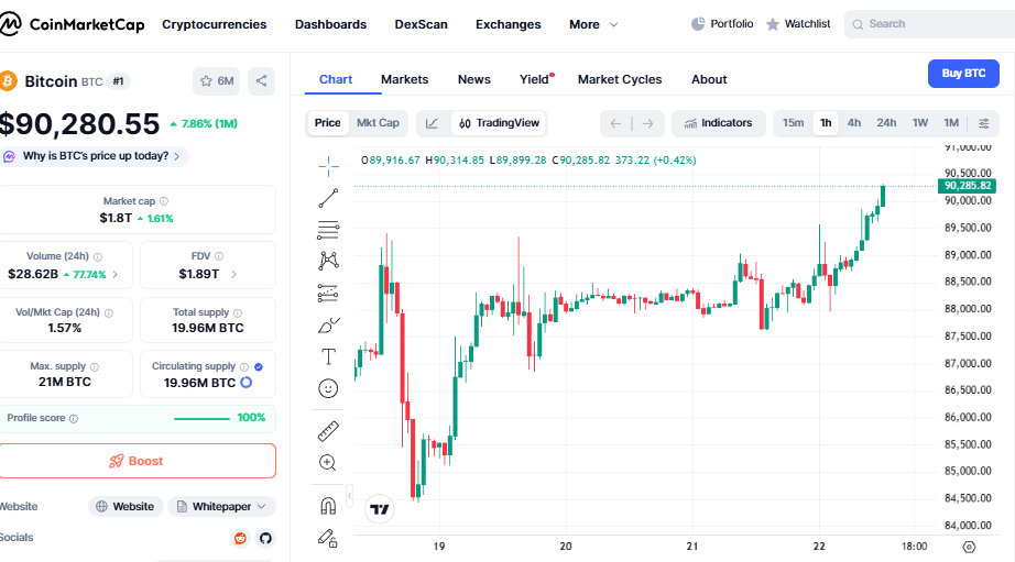 How to Read Crypto Charts for Beginners