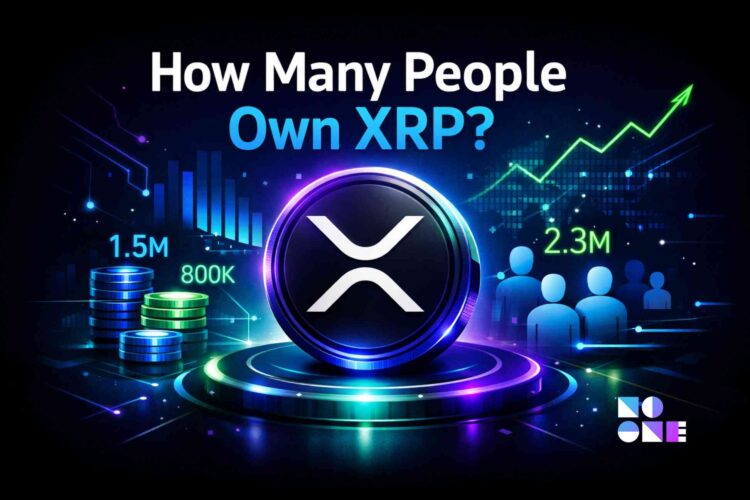 How many people own XRP